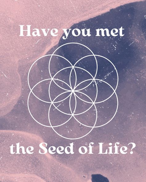 The Seed Of Life, Life Flower, Seed Of Life, Cosmic Energy, Flower Of Life, Book Of Life, Sacred Geometry, The Universe, Geometry