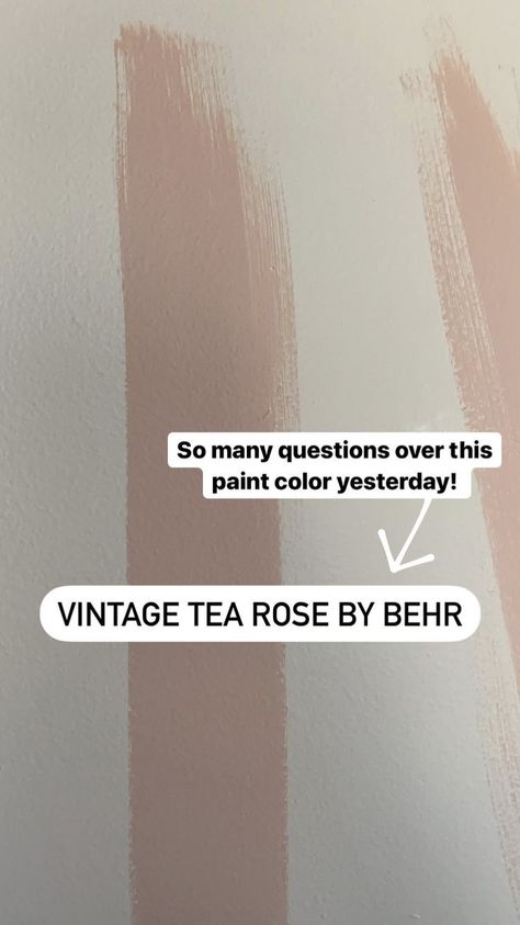 Perfect Dusty Pink Paint, Ash Rose Behr Paint, Sandy Pink Paint Color, Mauve Rose Paint Color, Dusty Blush Paint, Behr Paint Colors Pink Shades, Dusty Mauve Wall Color, Dusty Pink Walls Living Room, Soft Blush Paint Color