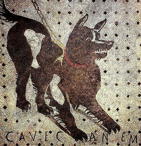 CAVE CANEM: Beware of Dog, Pompeii Cave Canem, Pompeii And Herculaneum, Rome Antique, Roman Mosaic, Beware Of Dog, Roman History, Roman Art, Art Antique, Art Films