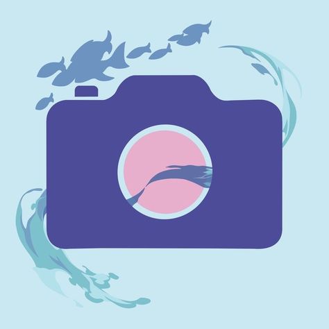 App Icons Camera, Shark Wallpaper Iphone, Kokomi Icon, Spanish Keyboard, Iphone Images, Mermaid Phone, Sangonomiya Kokomi, App Store Icon, Mobile App Icon