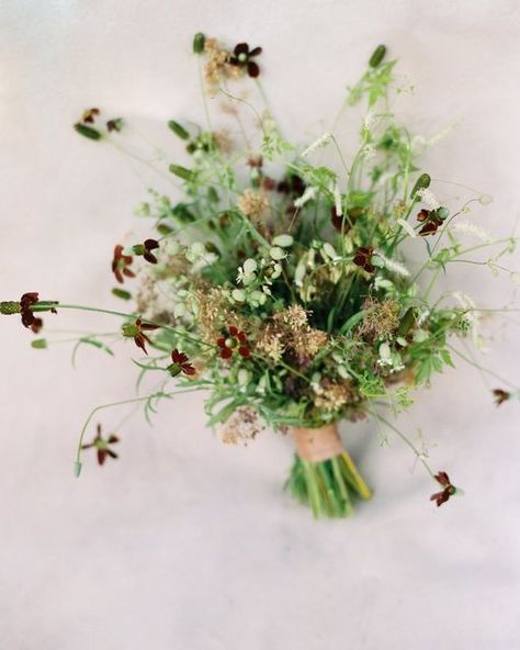 Destination Wedding Photograher on Instagram Botanical Wedding Flowers, Foliage Bouquet, Married Af, Small Bridal Bouquets, Unique Bridal Bouquets, Modern Wedding Bouquets, Floral Bouquets Wedding, Bridal Bouquet Summer, Simple Wedding Bouquets