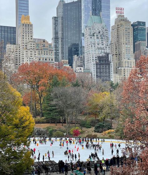 Thanksgiving In New York, Nyc Thanksgiving, New York Thanksgiving, Winter Nyc, Nyc Baby, New York Aesthetic, Nyc Trip, City That Never Sleeps, Dream City