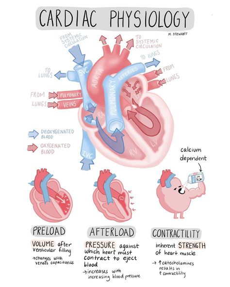 Mai on Instagram: “Here with another sneak peak of project in the works. Suggestions for how these could be better in general always welcome 🐇. . .…” Respiratory Therapist Student, Medical Coding Classes, Emt Study, Medical Terminology Study, Nursing School Essential, Nursing Study Guide, Medical School Life, Nurse Study Notes, Nursing Mnemonics