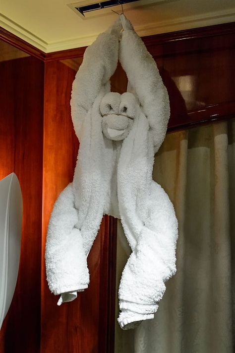 Norwegian Pearl, Towel Origami, Best Teddy Bear, Towel Animals, Cruise Liner, Fluffy Towels, Dangerous Animals, Two Fish, One Fish