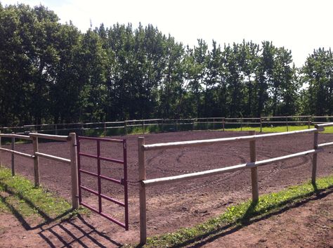 Training Cheap Arena Fencing, Outdoor Arena Horses Diy, Horse Business, Pipe Fence, Horse Tack Rooms, Tack Rooms, Horse Arena, Horse Barn Plans, Horse Knowledge