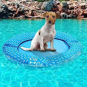 Dog Float Raft Dog Swimming Float Non Inflatable Stay Dry Float for Small and Medium Dogs Floats For Pool, Dog Pool Floats, Dog Pool, Dog Swimming, Pool Floats, Outdoor Oasis, Medium Dogs, Rafting, For Dogs