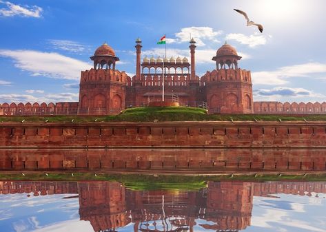 Indian Palace, Sunny D, Agra Fort, Red Fort, Golden Triangle, North India, Delhi India, Agra, Tour Packages