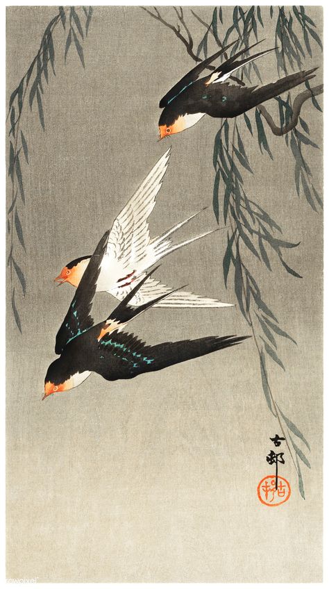 Three red-tailed swallows in dive (1900-1930) by Ohara Koson (1877-1945). Original from The Rijksmuseum. Digitally enhanced by rawpixel. | free image by rawpixel.com / Rijksmuseum (Source) Japanese Bird, Japan Painting, Art Chinois, Ohara Koson, Free Illustration Images, Japanese Artwork, Wildlife Paintings, Eastern Art, 수채화 그림