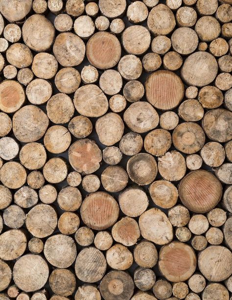 Wood Log Wallpaper, Log Background, Log Texture, Wooden Logs Decor, Forest Wood, Log Design, Log Image, Log Wallpaper, Wood Wall Texture