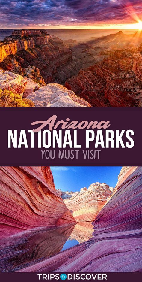 Arizona National Parks Road Trip, Arizona Parks, Sedona Arizona Restaurants, Bluegreen Vacations, Phoenix Vacation, Cactus Heart, Arizona Trip, National Parks America, Arizona Adventure