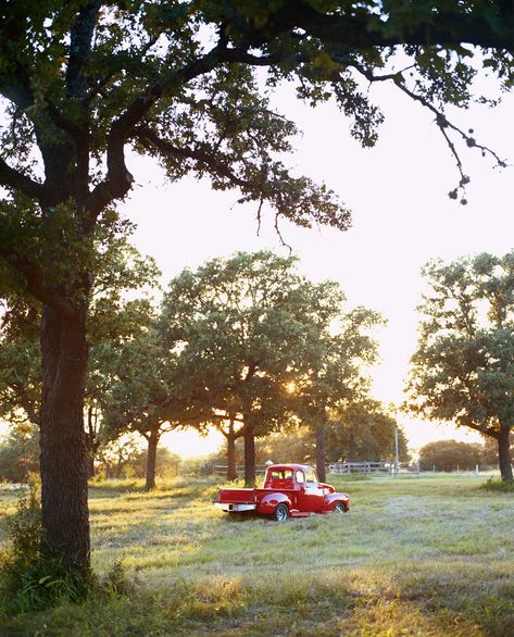 This Once-Quiet Texas Town Is Now a Booming Wine Destination | Condé Nast Traveler Texas Life, Texas Towns, Fredericksburg Texas, Sliced Bread, Growing Grapes, Johnson City, Conde Nast Traveler, Texas Travel, Conde Nast