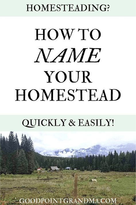 Naming Homestead, Raw Land Ideas, Naming Your Farm, Names For Farms, Flower Farm Name Ideas, Farm Tips And Tricks, Farm Names Unique, Homestead Names Ideas, Farmhouse Names