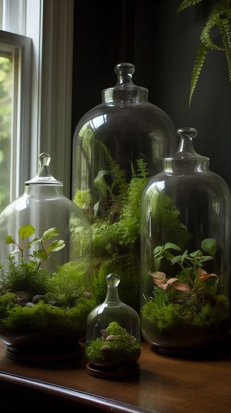 Explore the magic of miniature gardening with this lush, green terrarium. Filled with a variety of vibrant, verdant plants, it's a pocket-sized oasis that brings a calming, natural vibe to any room. Miss Ball Terrarium, Terrarium Aesthetic, Cloche Terrarium, Fern Terrarium, Plant In Glass, Tiny Worlds, Plant Arrangements, Terrarium Ideas, Diy Terrarium