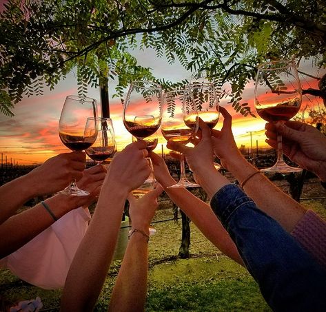 Group from last night at Lorimar winery. Love the sunset tours. Such a unique experience!  More info www.rockinwine.com/  #temecula #winecountry #sunset #winetasting #temeculawinecountry #bachelorette #bridetobe #wedding #Bridesmaids #fun #wine #winery Temecula Bachelorette, Winery Bachelorette Party Ideas, Bachelorette Winery, Wine Tour Bachelorette, Winery Bachelorette Party, Done Face, Dirty Thirty Birthday, Bridal Theme, Bride To Be Sash