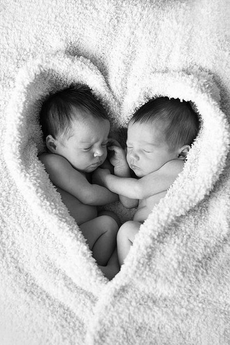 Twin Babies Pictures, Newborn Twin Photos, Twin Love, Twin Baby Photography, Twin Baby Photos, Newborn Family Pictures, Twin Pictures, Twin Photography, Twin Baby Boys