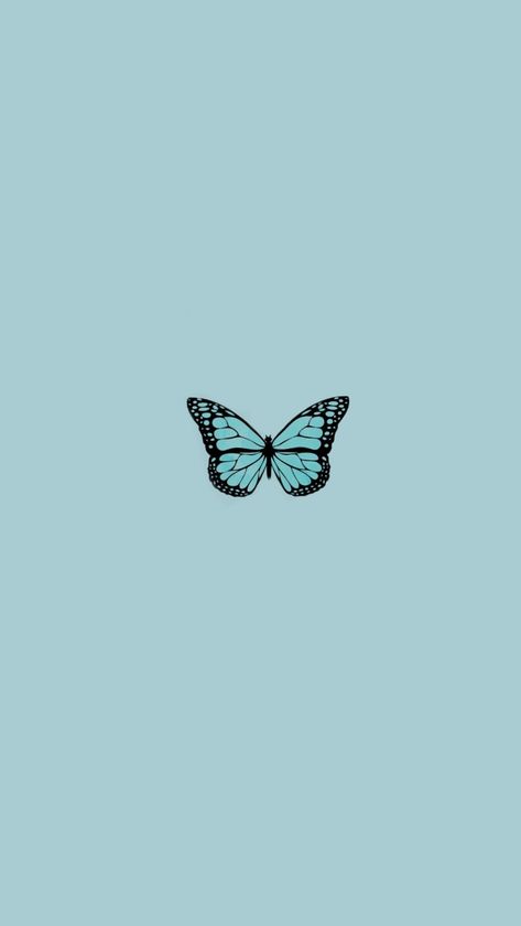 Preppy Wallpaper Butterfly, Simple Butterfly Background, Single Butterfly Wallpaper, Light Blue Butterfly Wallpaper, Blue Butterfly Wallpaper Backgrounds, Light Blue Butterfly Aesthetic, Blue Wallpaper Butterfly, Blue Butterfly Wallpaper Aesthetic, Blue Butterfly Background