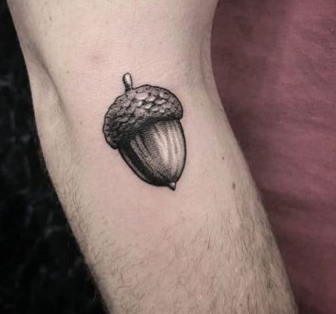 Acorns Tattoo, Maple Seed Tattoo, Magnet Tattoo, Oak Tattoo, Seed Tattoo, Acorn Tattoo, Nature Sleeve, Inside Of Arm Tattoo, Winter Tattoo