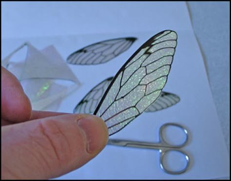 Fantasywing18 Iridescent Fairy Wings, Iridescent Fairy, Diy Fairy Wings, Glitter Quotes, Hantverk Diy, Diy Wings, Fairy Crafts, Fantasy Films, Diy Fairy