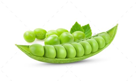 Snow Peas, Green Peas, Vector Photo, Premium Photo, Photography Ideas, Peas, White Background, Seeds, Weddings