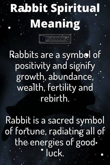 Seeing a rabbit/ rabbits spiritual meaning Rabbit Symbolism, Spirit Animal Meaning, Native American Totem, Animal Meanings, Animal Spirit Guides, Animal Symbolism, Dream Symbols, Egyptian Culture, Sacred Symbols