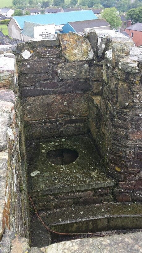 Fern castle, Fern Ireland Yes that is the toilet lol Castle Toilet, Gross Toilet, Threatening Toilets, Cool Toilets, Out House, Beautiful Tree Houses, Castle Rooms, Haunted Castles In Ireland, Paddy Kelly