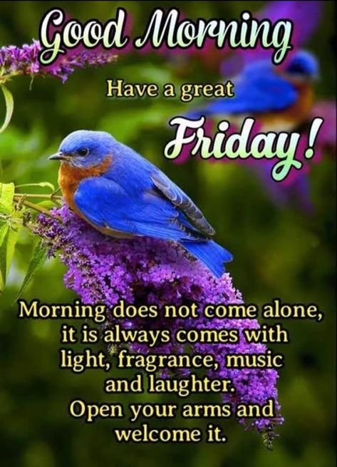 10 Images For Good Morning Friday 2023 Happy Friday Meme, Friday Morning Greetings, Friday Greetings, Good Morning Friday Images, Friday Inspirational Quotes, Friday Morning Quotes, Saturday Images, Friday Wishes, Friday Images