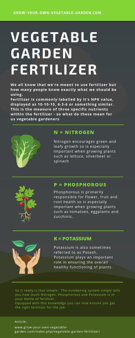 What Do The Numbers On Fertilizer Mean?  Read our guide to find out. #gardenfertiliser #fertilizernumbers #fertilisernumbers #whatdothenumbersonfertilizermean #whatdothenumbersonfertilisermean #5-10-10fertilizer #5-10-10fertiliser #10-10-10fertilizer #10-10-10fertiliser Plant Fertilizer Guide, Best Fertilizer For Vegetable Garden, Fertilizer For Vegetable Garden, Vegetable Fertilizer, Vegetable Garden Fertilizer, Allotment Plan, Garden Techniques, Garden Basics, Gardening Style