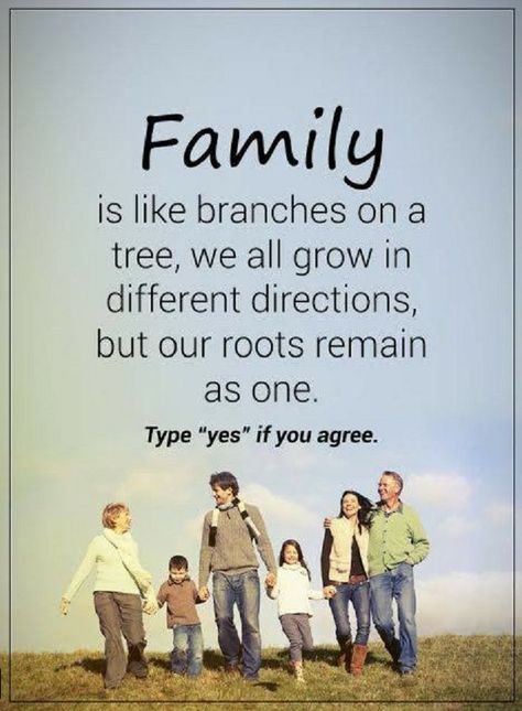 Quotes Family is like branches on a tree, we all grow in different directions, but our roots remain as one. Quotes About Family, Job Motivation, Quotes Family, Direction Quotes, General Quotes, Inspirational Verses, Morning Greetings Quotes, Power Of Positivity, Morning Inspirational Quotes