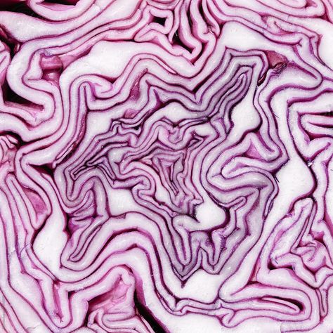 Natural Forms Gcse, Purple Vegetables, Abstract Art Photography, Purple Food, Purple Cabbage, Natural Structures, Food Patterns, Food Backgrounds, Experimental Photography