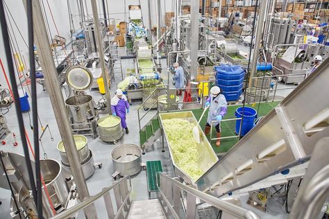 5 Advantages of Integrated Design-Build for Food and Beverage Manufacturing Projects | Ryan Companies Food Manufacturing Factory, Manufacturing Factory Design, Manufacturing Business Ideas, Food Manufacturing, Real Estate Management, Healthcare Marketing, Senior Living Communities, Manufacturing Factory, Brand Ideas