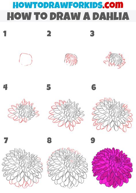 Dahlia Doodle Simple, Drawing Dahlia Flowers, Tall Flower Drawing Simple, Easy Step By Step Flower Drawing, Dahlia Drawing Sketches, Drawing Dahlias Step By Step, Dahlia Flower Sketch, How To Draw Florals Step By Step, How To Draw Zinnia Flowers