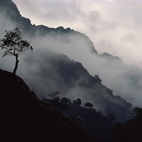 Misty mountains Misty Landscape, Foggy Mountains, Misty Mountains, Mountain Wallpaper, Tinta China, Misty Forest, Nature Aesthetic, White Photography, Costa Rica