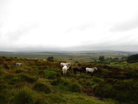 Rainy English Countryside, Dartmoor Aesthetic, Stonehenge Aesthetic, Rainy Academia, Rainy Countryside, Rainy England, Rainy Drive, Moody Pictures, England Countryside