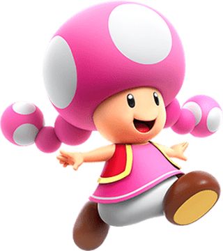 Pink Toad Mario, Toadette Tattoo, Toadette Mario, Toad Character, Mario Princess Daisy, Mario Party 7, Toad Costume, Donkey Kong Junior, Mario Kart Wii