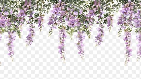 Purple Hanging Flowers, Wisteria Aesthetic, Purple Flower Border, Vine Illustration, Aesthetic Pngs, Flower Border Png, Border Illustration, Vine Plants, Wisteria Flower