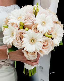 gerbera & rose bouquet | tracy gibbons | Flickr Daisy And Rose Bouquet, Gerbera Bridal Bouquet, Daisy Bridal Bouquet, Champagne Wedding Flowers, Wedding Plate Setting, Gerbera Daisy Wedding, Gerbera Daisy Bouquet, Gerbera Bouquet, Daisy Wedding Flowers