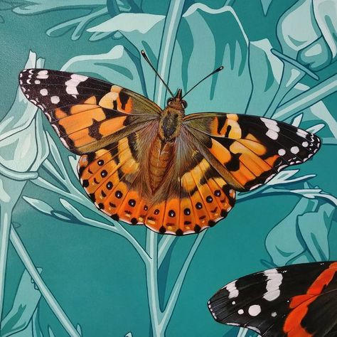 INK DWELL on Instagram: “The ladies: Painted lady (Vanessa cardui) and American lady (Vanessa virginiensis). There is one more lady in SF. Any guesses which species…” Vanessa Cardui, American Lady, River Bank, Animal Sketches, Woman Painting, American Women, Beautiful Butterflies, Banks, Insects