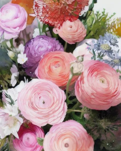 Ranunculus Painting, January Flowers, Roses And Daisies, Watercolour Wash, Watercolor Wash, Art Generator, Ranunculus, Sydney, Daisy