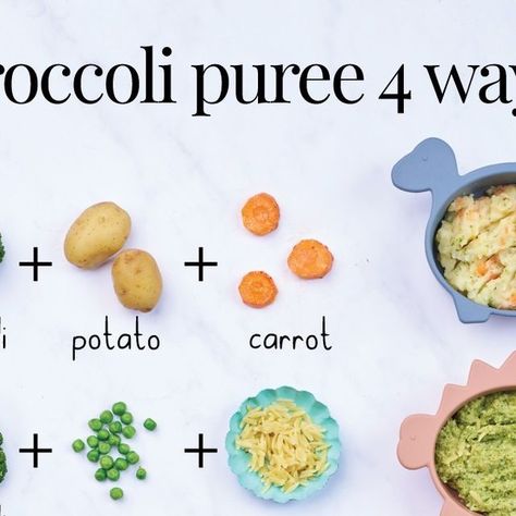 Annabel Karmel on Instagram: "🥦 BROCCOLI PUREE 4 WAYS 🥦⁠ ⁠ Broccoli is a true superfood for babies! Did you know that it provides a little bit of almost every nutrient you need? It contains powerful antioxidants to help build and strengthen the immune system and is a great source of vitamins and minerals such as folate, iron, potassium, vitamin K and vitamin C which aids iron absorption.⁠ ⁠ How to puree 🥦 ⁠ ⁠ Wash the broccoli and cut into small florets. Steam for about 8 minutes until tender. ⁠ ⁠ Puree with an electric stick blender or in a food processor adding a little water from the bottom of the steamer or some of your baby’s usual milk, until you reach the desired consistency.⁠ ⁠ Here are some of my favourite Broccoli combos. Find all these recipes on my app. 🥦👶" Broccoli Baby Food Recipe, Baby Broccoli Recipe, Avocado Baby Food, Broccoli Puree, Iron Absorption, Stick Blender, Baby Puree, Sprout Recipes, Brussels Sprouts Recipe