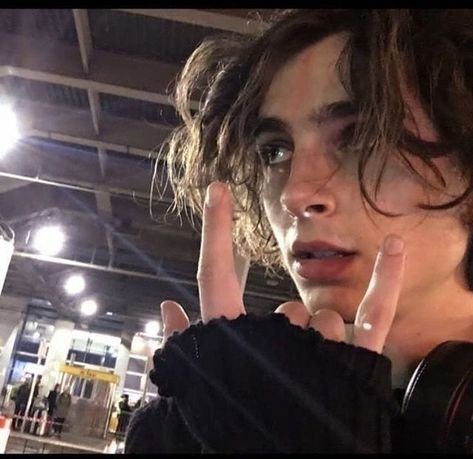 timothée chalamet on Instagram: “iconic” Timothee Chalamet, A Man, Long Hair, A Woman, Hair