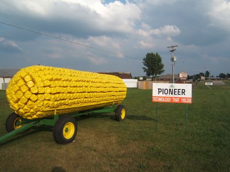 https://flic.kr/p/5haeGY | Giant corncob made out of old milk jugs Hay Bale Decorations, Hay Bale Ideas, Maze Ideas, Agritourism Farms, Barrel Train, Old Milk Jugs, Pumpkin Patch Farm, Bar Street, Ear Of Corn