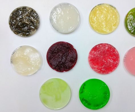 Make Your Own Bioplastics!: Science Lab idea Great Pacific Garbage Patch, Secondary Science, Science Club, Material Research, Petri Dish, Bio Art, High School Science, Fair Projects, Sustainable Art