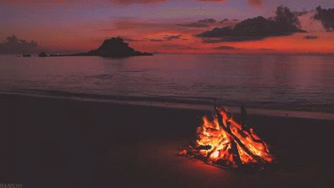 Camp Fire GIF - Camp Fire Campfire - Discover & Share GIFs Fotografi Vintage, Nature Gif, Aesthetic Gif, Cute Gif, Anime Scenery, Campfire, Pixel Art, Nature Photography, The Beach