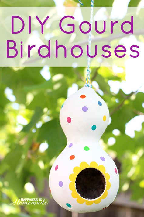 Gourds Birdhouse, Bird House Kits, Gourds Crafts, Painted Gourds, Diy Outdoor Decor, Bird Houses Diy, 15 Diy, Handmade Beauty Products, Diy Hanging