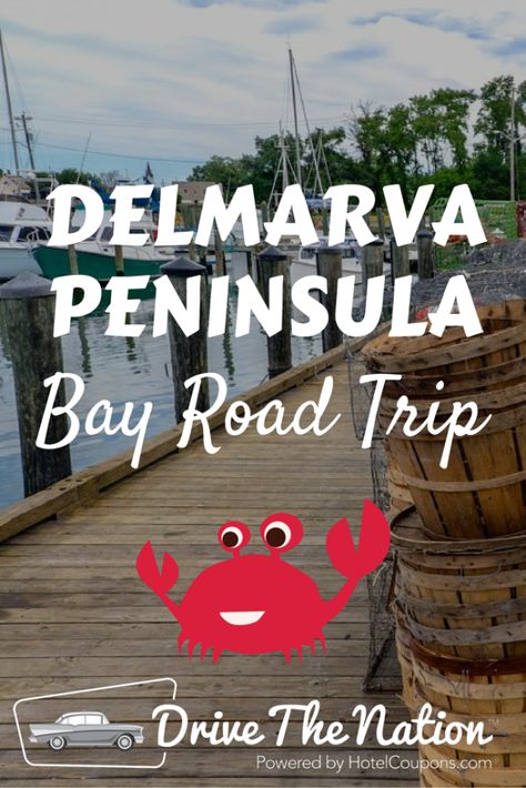 West Virginia Vacation, Assateague Island National Seashore, Chesapeake Bay Bridge, Delmarva Peninsula, Vacay Ideas, Virginia Vacation, Chincoteague Island, Virginia Travel, Annapolis Maryland