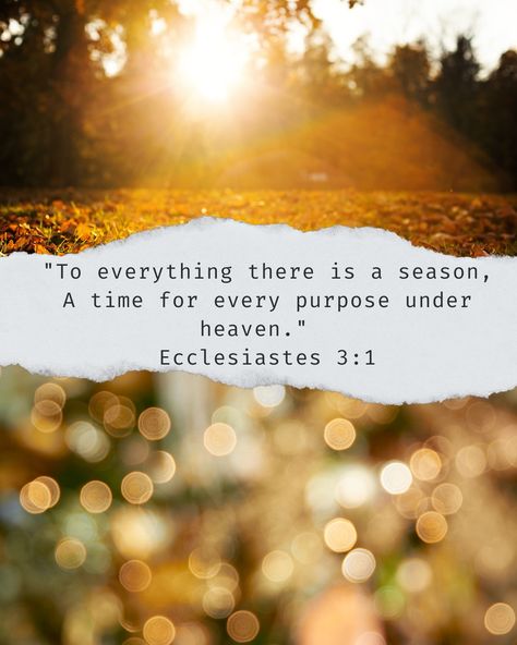 🍂🍁 "To everything there is a season, A time for every purpose under heaven." - Ecclesiastes 3:1 🍁🍂 #FallSeason #TimeForChange #SeasonsOfLife #Purpose #Ecclesiastes #AutumnLeaves #SundayVibes For Every Season There Is A Purpose, Ecclesiastes To Everything There Is A Season, There Is A Season For Everything, For Everything There Is A Season, He Has Made Everything Beautiful In Time, To Everything There Is A Season, Ecclesiastes 3:1, Season Of Life Quotes, A Time For Everything Ecclesiastes