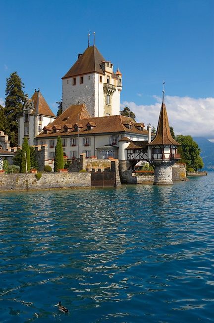 Oberhoffen Castle, Lake Thun, Switzerland Oberhofen Castle, Switzerland Castle, Vacation Switzerland, Castle Switzerland, Beaux Arts Architecture, Thun Switzerland, Lake Thun, Swiss Travel, Famous Castles