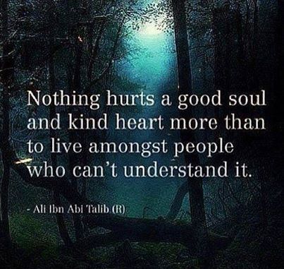 a good soul and kind heart life quotes quotes quote life quote truth kindness soul Honest Quotes, Kahlil Gibran, Life Quotes Love, Kind Heart, Infp, Way Of Life, The Words, Great Quotes, Beautiful Words