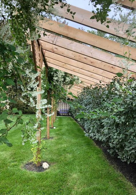 How to Make a Fence Taller for Better Privacy | Empress of Dirt Make A Fence Taller, House Ranch, Privacy Landscaping, House Farmhouse, Backyard Privacy, Garden Wallpaper, Garden Area, Fence Landscaping, Easy Flower