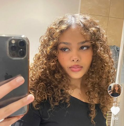 Curly Light Brown Hair, Caramel Brown Hair, Cheveux Oranges, Golden Brown Hair Color, Dyed Curly Hair, Golden Brown Hair, Highlights Curly Hair, Honey Brown Hair, Brown Curly Hair